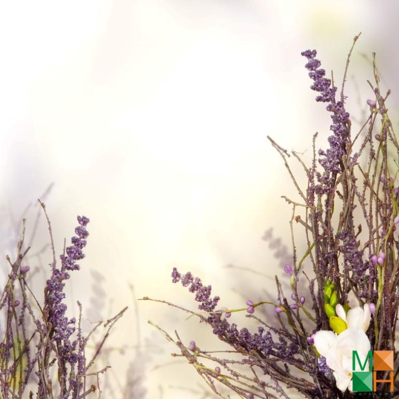 Tranh dán tường nhập khẩu Hàn Quốc hoa lavender FW - 143